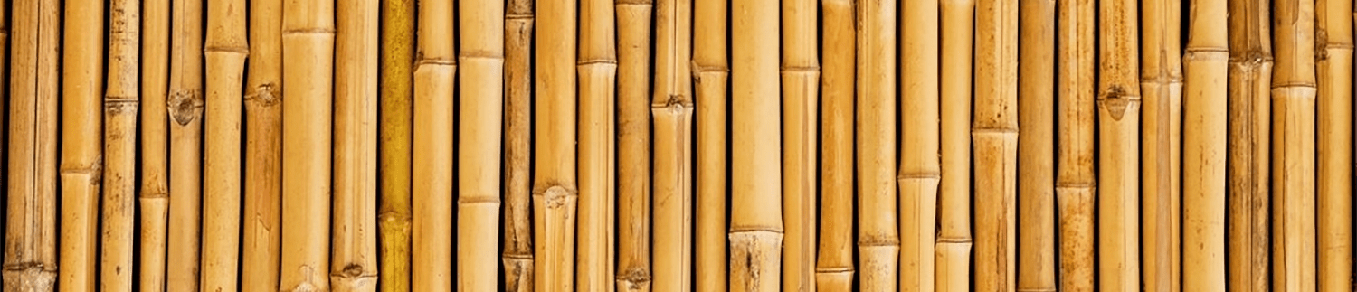 Professional Massage Therapy Columbia Missouri